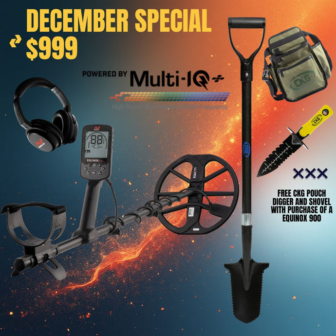 Minelab EQUINOX 900 Metal Detector with 11